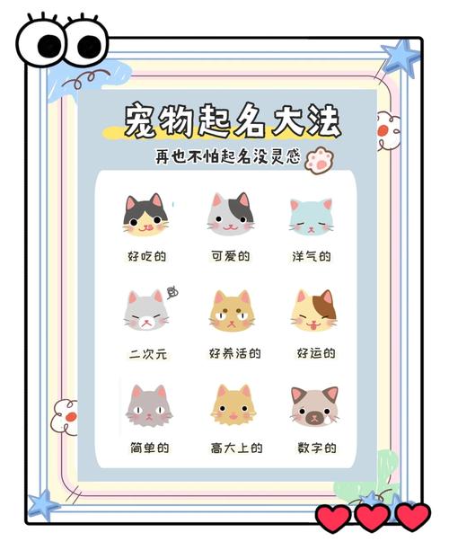 娱乐圈走红密码：萌宠IP和幸运符号如何神助攻明星爆火